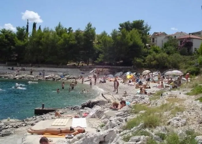 Blazenka 特罗吉尔